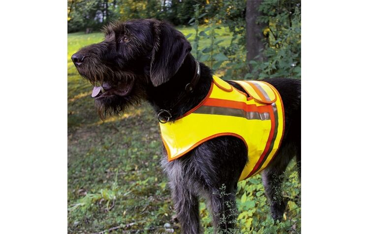 La Chasse® Reflektor-Weste für Jagdhunde 90304