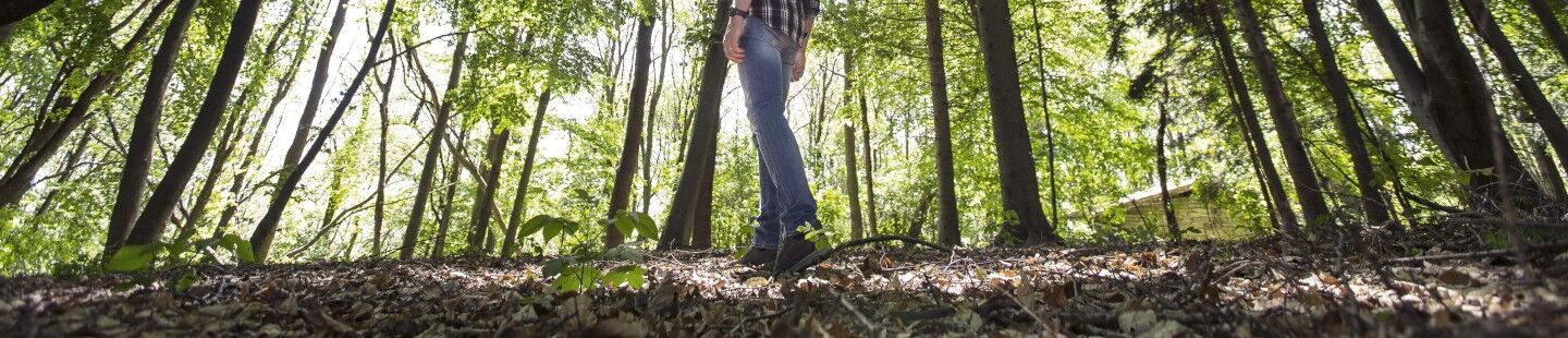 Jagdhalbschuhe, Freizeitschuhe und Outdoorschuhe online kaufen