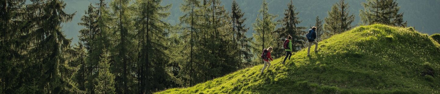 Outdoowesten, Funktionswesten für Damen und Herren online günstig kaufen