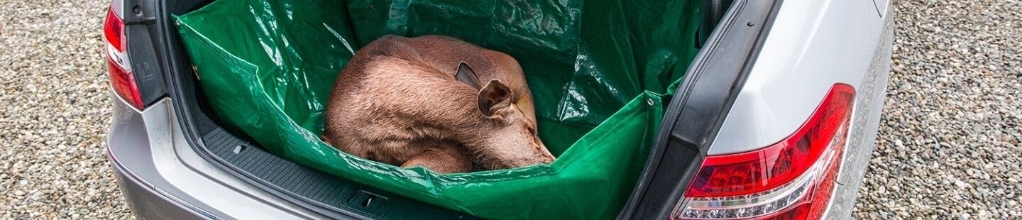 Wildtransport wie Wildwannen, Wildsäcke, Wildbergehilfen, Schleppgurte online kaufen